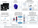 Identification of optimal mother wavelets in survival prediction of lung cancer patients using wavelet decomposition‐based radiomic features