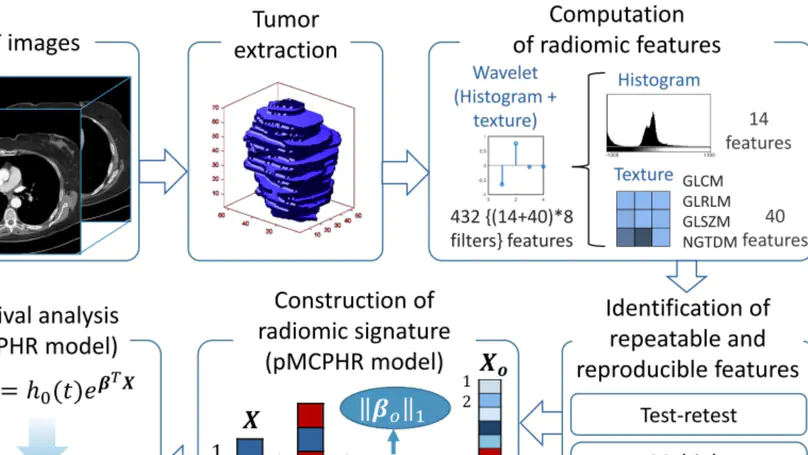 Identification of optimal mother wavelets in survival prediction of lung cancer patients using wavelet decomposition‐based radiomic features